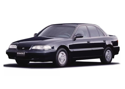Ворсовые коврики на Hyundai Sonata 3 (Y3) 1993 - 1998 в Мытищах
