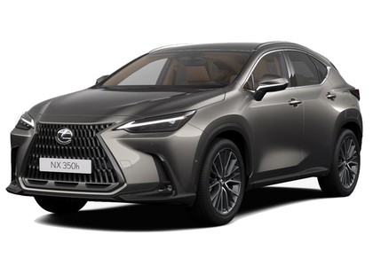 Ворсовые коврики на Lexus NX II 2021 - 2025 в Мытищах