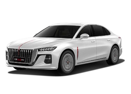 Ворсовые коврики на Hongqi H5 II 2022 - 2025 в Мытищах