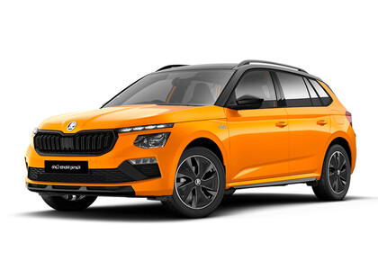Ворсовые коврики на Skoda Kamiq 2019&nbsp;-&nbsp;2026 в Мытищах