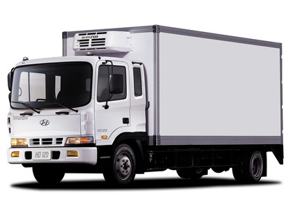 EVA коврики на Hyundai HD120 2004 - 2025 в Мытищах