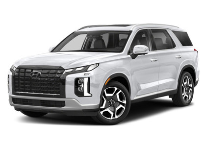 EVA коврики на Hyundai Palisade 2018 - 2025 в Мытищах
