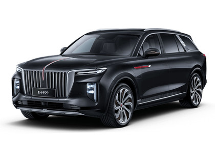 Ворсовые коврики на Hongqi E-HS9 2022 - 2025 в Мытищах
