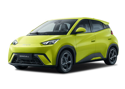 Коврики на BYD Seagull 1 2023&nbsp;-&nbsp;2026 в Мытищах
