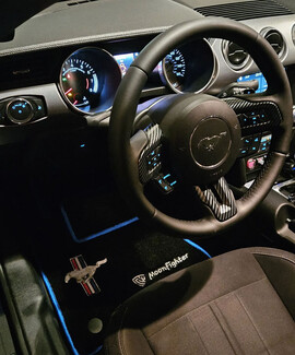 Коврики на Ford Mustang VI 2013&nbsp;-&nbsp;2023 в Мытищах