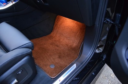Коврики на BMW X5 (G05/G18) 2018 - 2025 в Мытищах