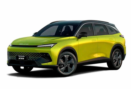 Ворсовые коврики на Baic X55 2022 - 2025 в Мытищах