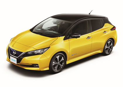 EVA коврики на Nissan Leaf (ZE1) 2017 - 2025 в Мытищах