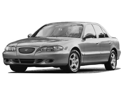 Ворсовые коврики на Hyundai Sonata 3 (Y3) 1993 - 1998 в Мытищах
