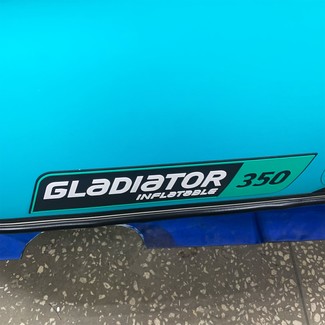 Ворсовые коврики на Лодки Gladiator E350S  в Мытищах
