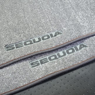 Ворсовые коврики на Toyota Sequoia I 2001 - 2008 в Мытищах
