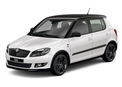 EVA коврики на Skoda Fabia II 2007 - 2015 в Мытищах