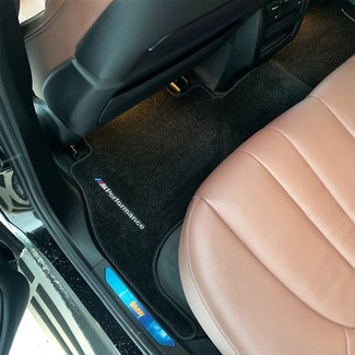 Коврики на BMW X5 (G05/G18) 2018 - 2025 в Мытищах
