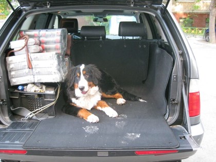 EVA коврики на BMW X5 (E53) 1999 - 2006 в Мытищах
